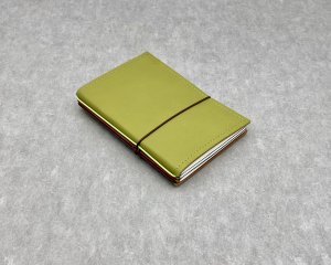 A6 3er smooth leather, matt green, ElastiXs mix, 3 inlays, mix