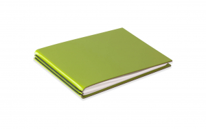 FlowBook A6 Quer - Lefa grün